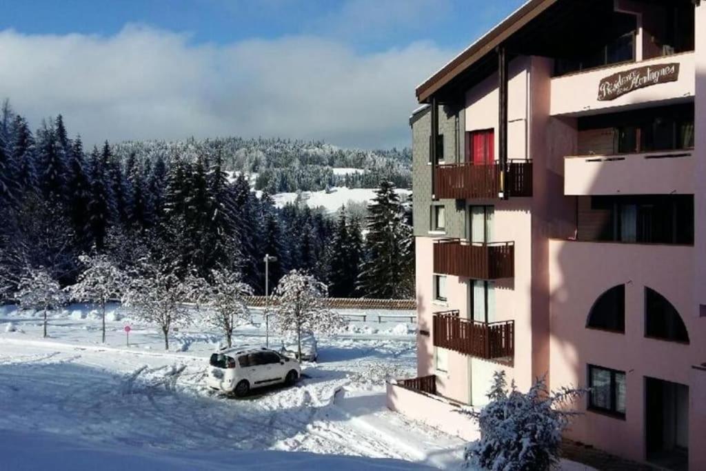 Appartement Montagne La Vallee Verte Coeur Station Hirmentaz Bellevaux Bagian luar foto